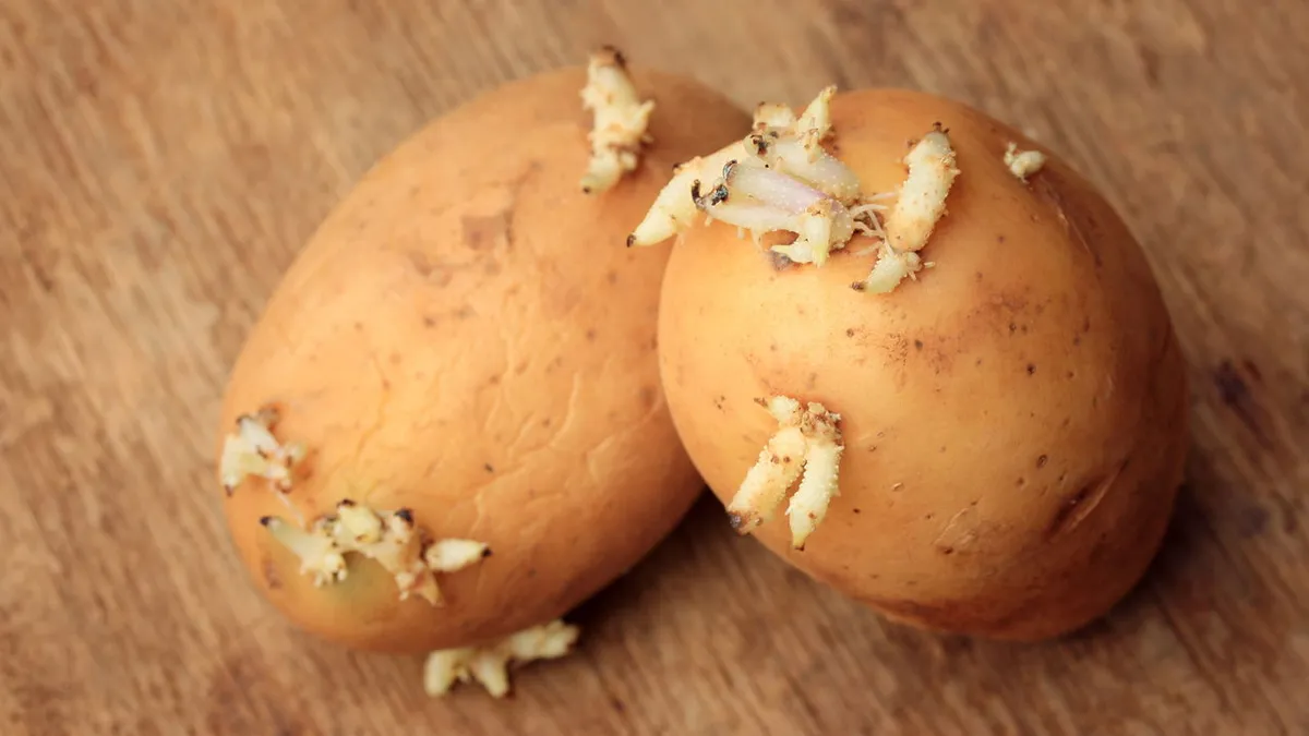 Aardappels invriezen: ervaring en tips