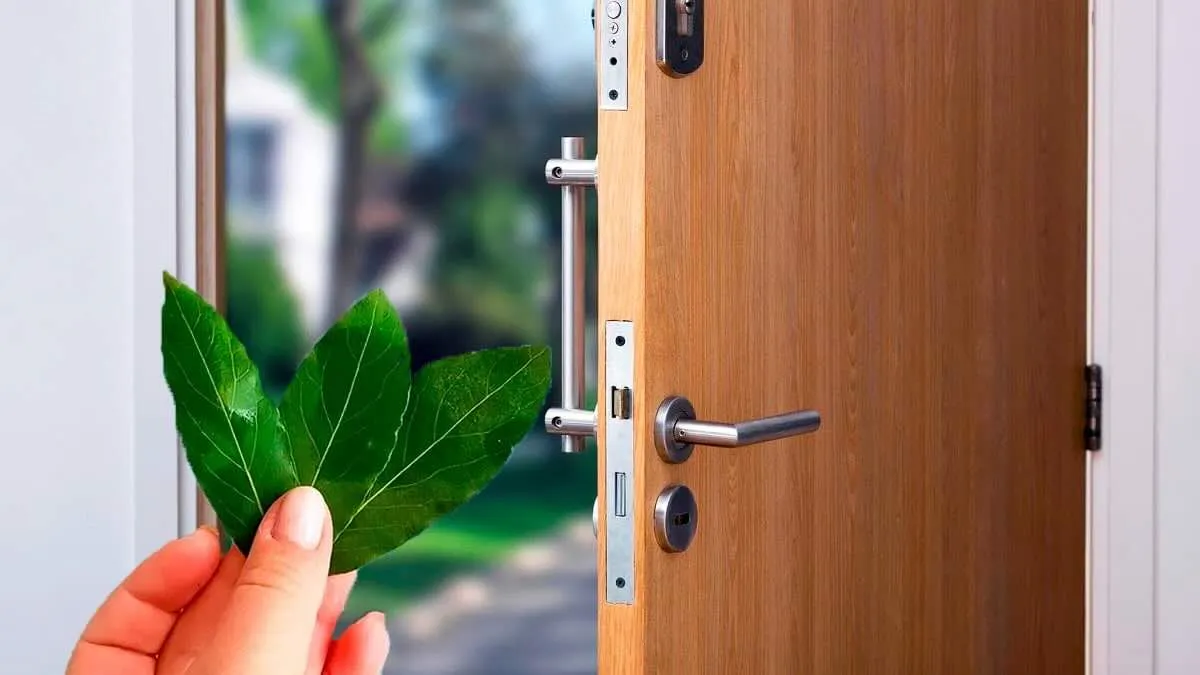 Waarom laurier bij de voordeur?