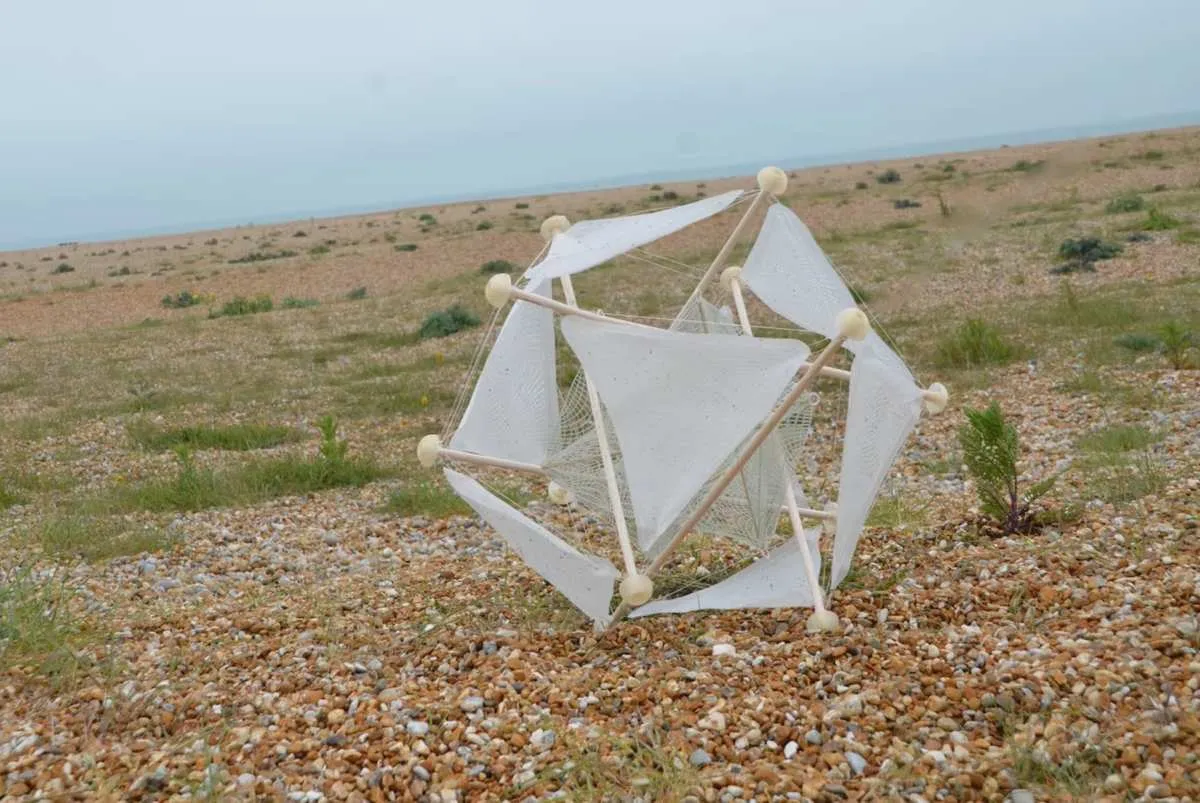 Innovatie in woestijnherstel: Wasteland Nomads en een biomimetische aanpak